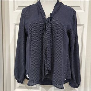 Loft Blue White Polka Dot Chiffon Blouse Large
